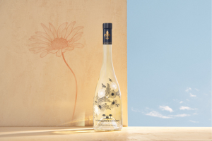 design-sans-titre-13