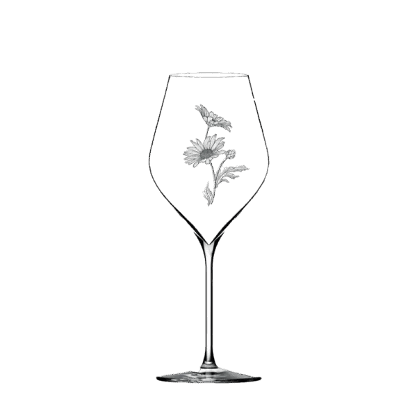 packshot_absolus46_blanc-1000x1000-png-1