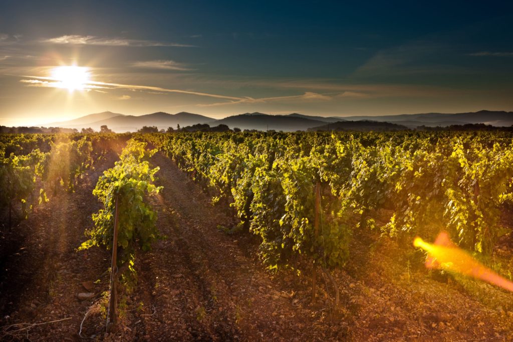 Photo 2 slider scaled min