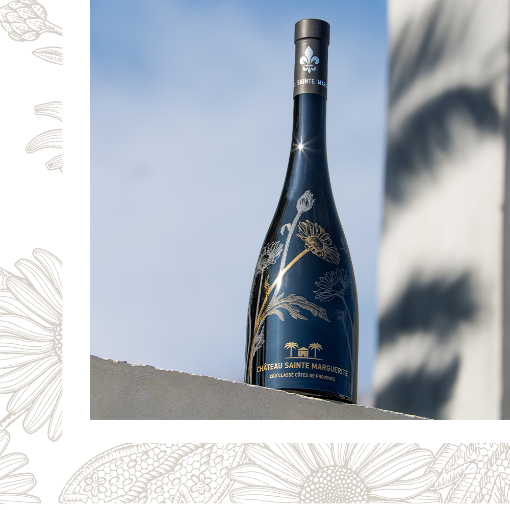 Sainte Marguerite 2024 10 left