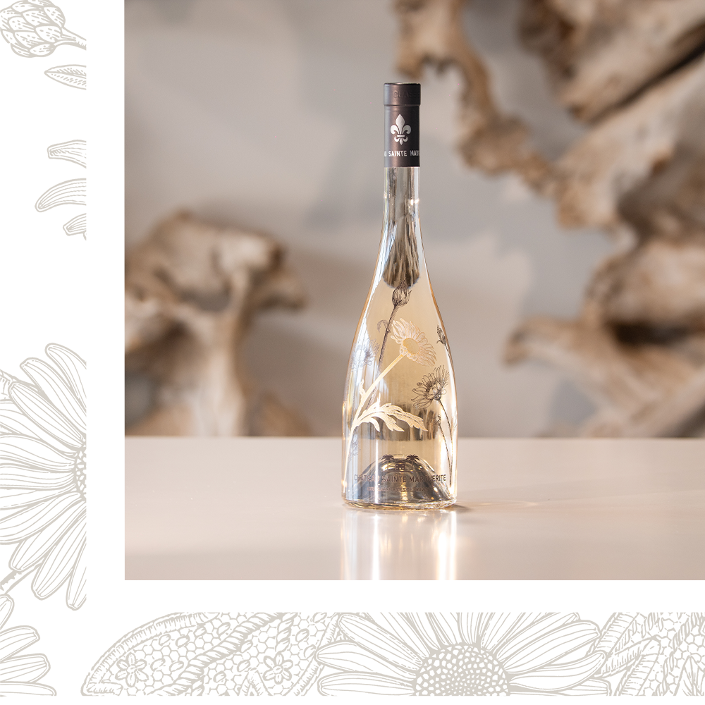 Sainte Marguerite 2024 14 left