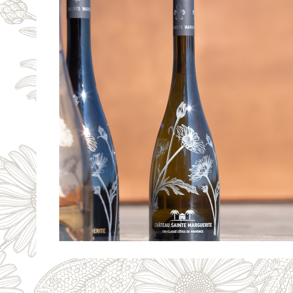 Sainte Marguerite 2024 4 left