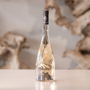 Sainte Marguerite 2024 14 scaled