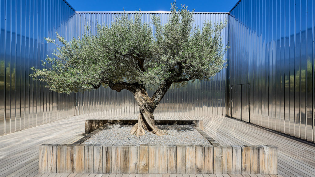 OriginalSizeJPEG al21 csm archi paysage 040 WEB edited