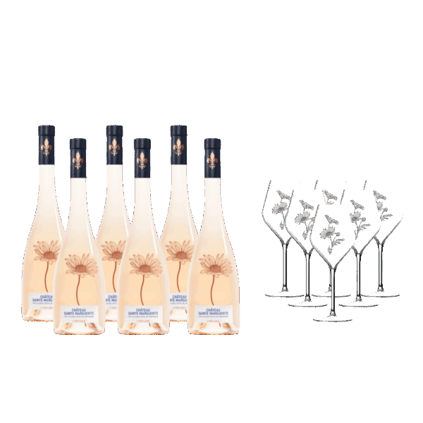 Coffret-6-Symphonie-6-verres-Cru-Classe-Cotes-de-Provence-e1744971038275-1024x932