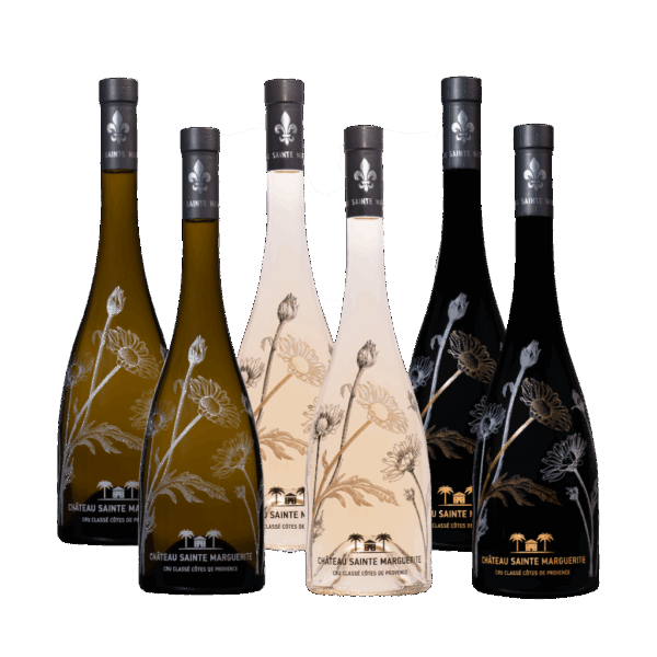 Copie-de-Publication-Instagram-Promotion-de-produit-Moderne-Vert-et-Blanc-1-1024x1024