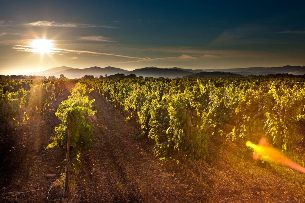 Photo-2-slider-scaled-min